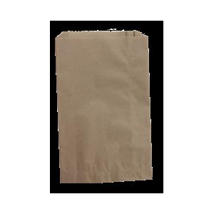 Bag Paper Kraft Notion 7x10"