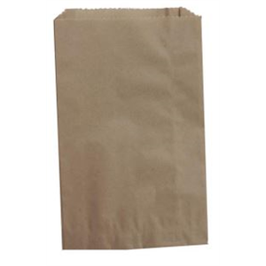 Bag Paper Kraft Notion 11x14"