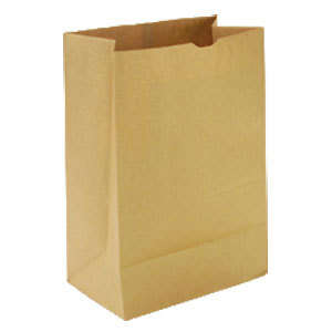 Bag Paper Kraft 5 lb DD50 Hardware