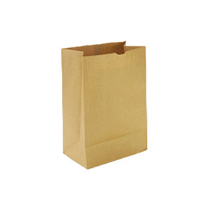 Bag Paper Kraft 6 lb, 5 15/16X3 5/8" x11"