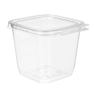 Container Plastic Hinged 24oz Clear Squareware PET