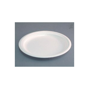 Plate 10" Foam, Envirofoam