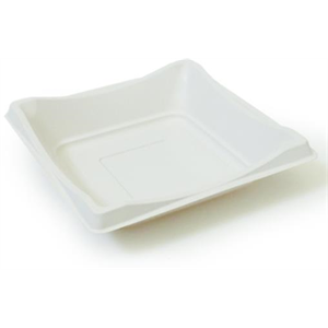 Container Plastic Square White Sandwich