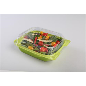 Container Plastic Hinged 6x8 Lime Green, Bottlebox