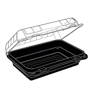 Container Plastic Hinged Medium 5 3/4x7 7/8x3 (DEEP), PS