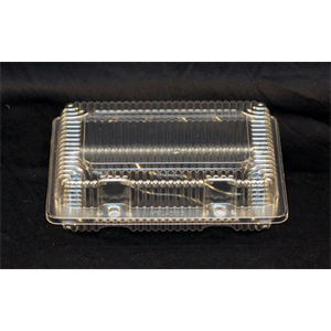 Container Plastic Hinged, 8.25x6x2.5"