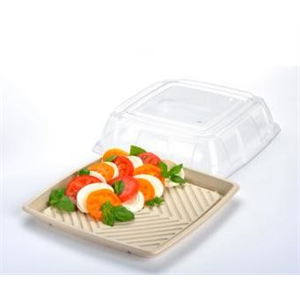 Lid PET 14" for Pulp Tray