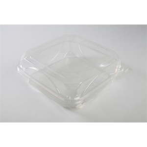 Container Plastic Hinged 9x9 Clear, Bottlebox
